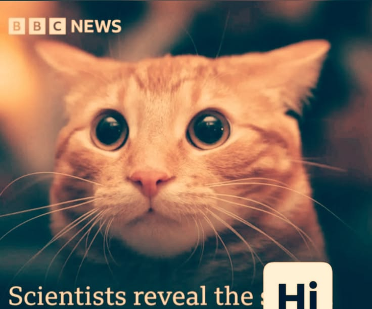 CRIMETIMESMP's tweet photo. We both know why you were imprisoned. But maybe there's another option than rotting in a cell?
APPLICATIONS!!! OPEN!!! JOIN!! NOW!!! APPLICATIONS END!! AROUND THE END OF THE MONTH!!!
https://t.co/IooyKnGpqW https://t.co/h8geLSJJiv