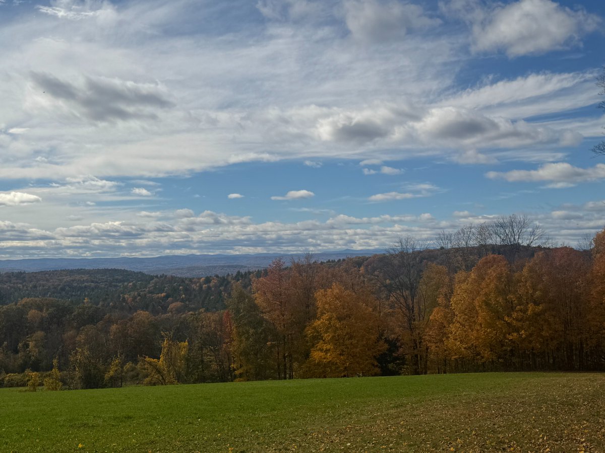 vtdiva49's tweet photo. Local, today. https://t.co/GJmkUXPdfY