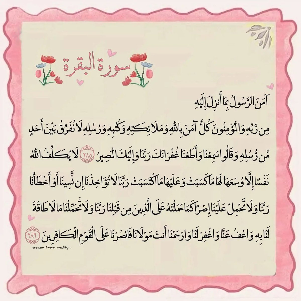 _Alfar00Q's tweet photo. https://t.co/XPoRlrVYXZ