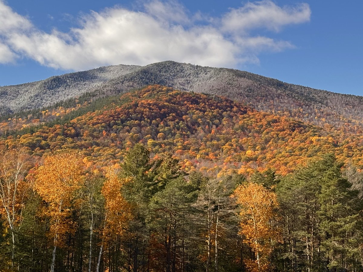 TommyHornWX1's tweet photo. #Snowliage ❄️🍁 in Wilmington, NY. Tons of awesome photos today, so more will be shared throughout the week. 

@ExploreFall @FoliageReport @MattDevittWX @weather_buffalo @WasilenkoAlex @TylerJankoski @jasonnappiwx @Jarpin316 @spann @DurkinWeather @EricSnitilWx @JordanHallWX https://t.co/hFZHixP8P5
