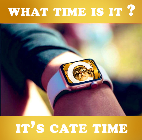 SolGemsAlert's tweet photo. It's $CATE time 🙌 https://t.co/iVRRWxOw1u