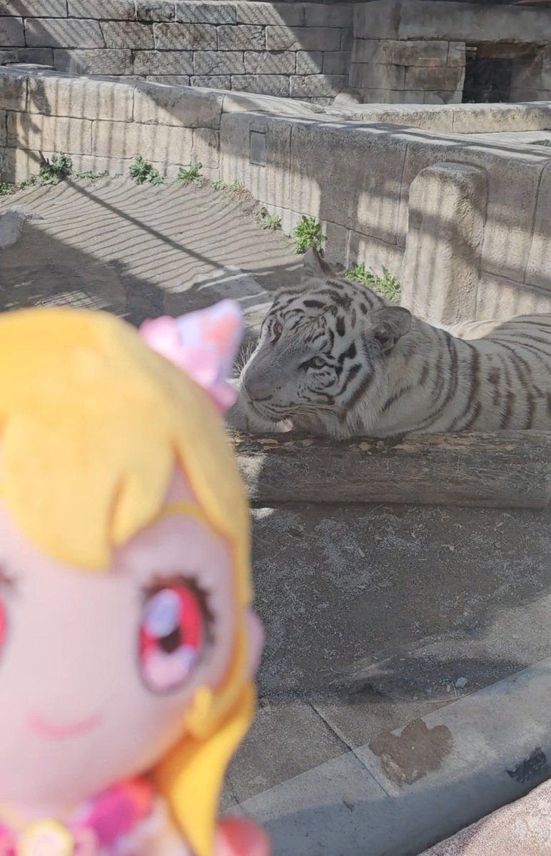 txxxxxia's tweet photo. アイカツ！ 10th STORY ～未来へのSTARWAY～×東武動物公園 
アイカツ！おかげでかわいい動物も見られて楽しかった https://t.co/EnNTgWZs4z