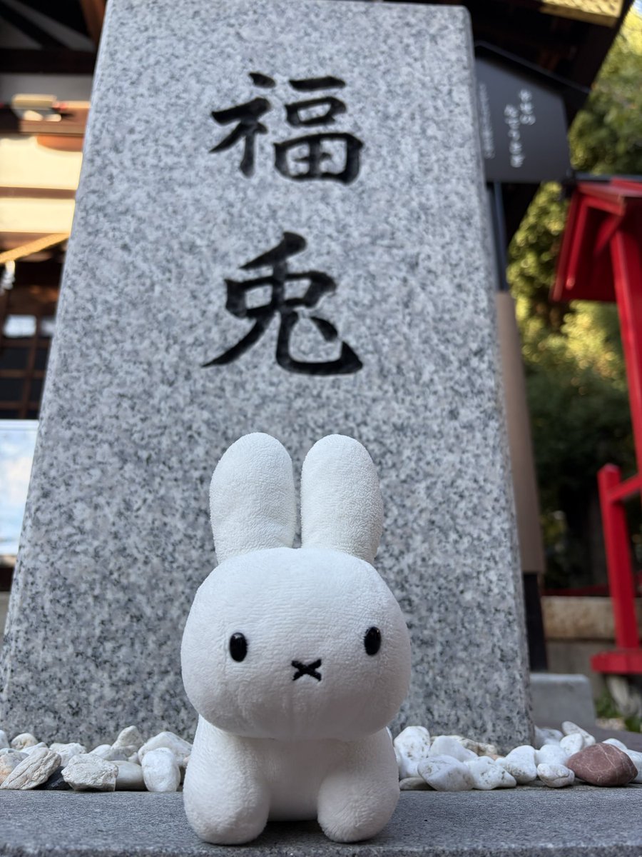 WildUsagi33's tweet photo. どうも福うさぎです https://t.co/xvx9MjlyQ7