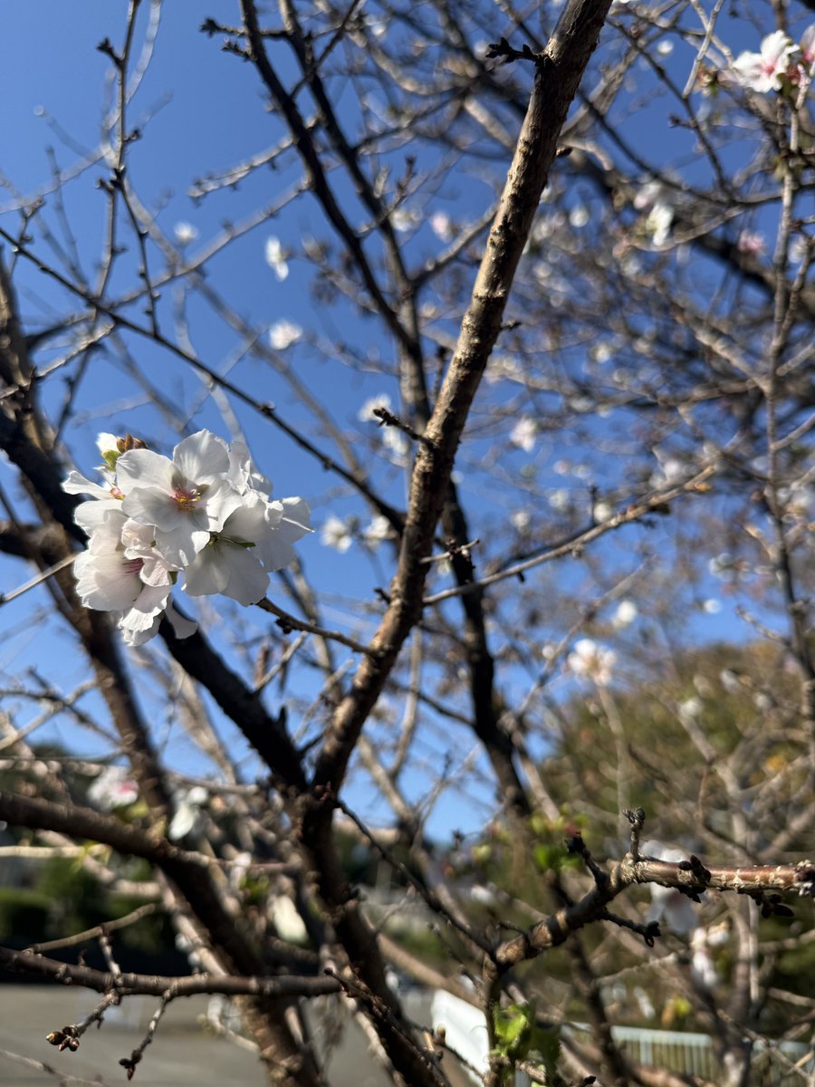 disaion's tweet photo. 新春 https://t.co/2LwnKldzAU