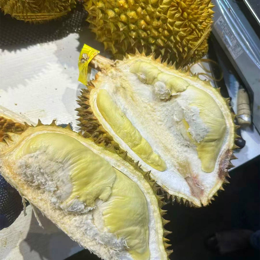 Ateeq41544615's tweet photo. Need to grab a durian to share—its tough outer shell is so durable, fresh flesh inside feels like a sweet surprise when you cut through it. https://t.co/Xmr52drb1w