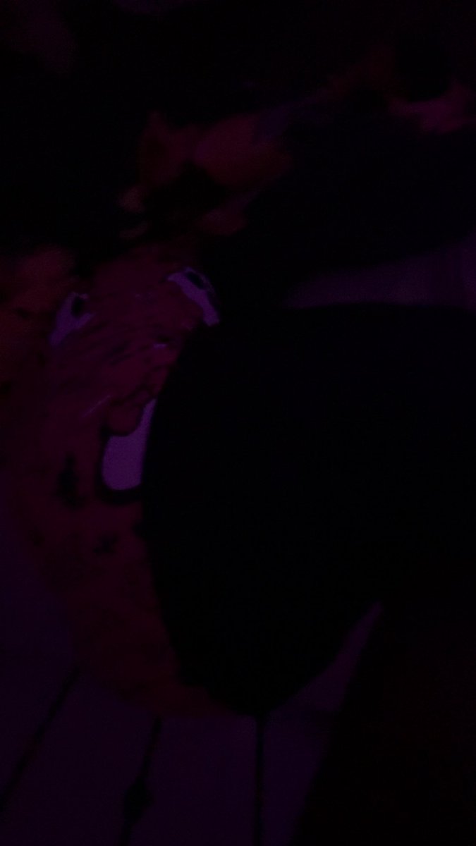 itsjustmepoe's tweet photo. intoxicated bleeeeehhhhhhh >.< #chudai #wata #assfat #nsfwtwt https://t.co/RN4tJRAZ9W