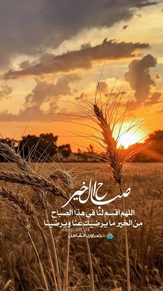 dridiah38533996's tweet photo. @muna_ali2026 https://t.co/psMUbpNmUO