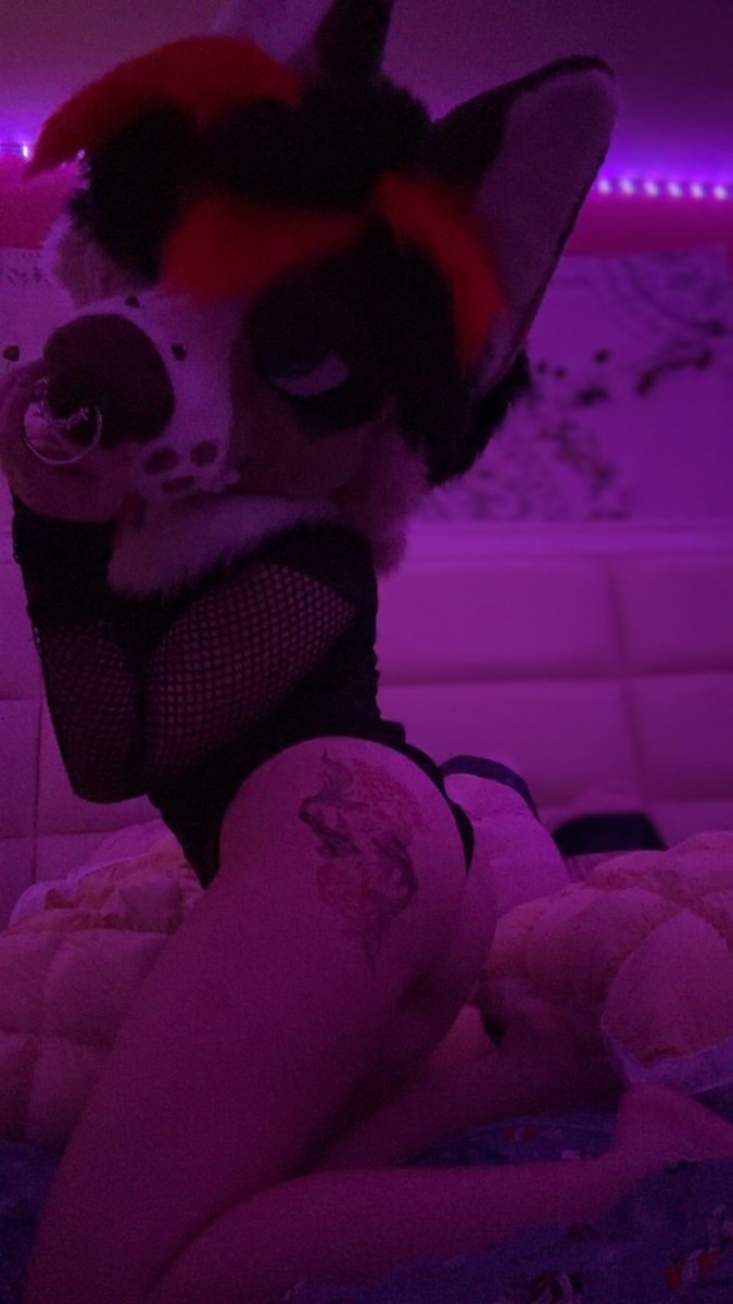 gothyote's tweet photo. Such a good boy , he deserves a big treat~

#murrsuiter #furrynsfw #mlm https://t.co/gR5eSopSoi