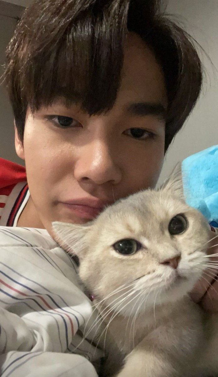 mypeonybabe's tweet photo. รอ sis 🐶🫳🏻 — baby ถ้ากลับมาคืนนี้
สัญญาว่าจะเป็นเด็กดีของพี่ https://t.co/kIOp1E7ENW