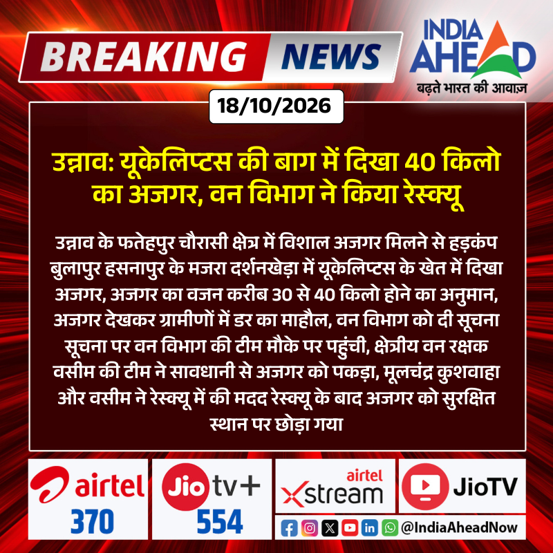 IndiaAheadNow's tweet photo. #Unnao: यूकेलिप्टस की बाग में दिखा 40 किलो का अजगर, वन विभाग ने किया रेस्क्यू

#UnnaoNews #PythonRescue #WildlifeRescue #UttarPradeshNews #ForestDepartment #IndiaAhead https://t.co/N4hSxvEFfh