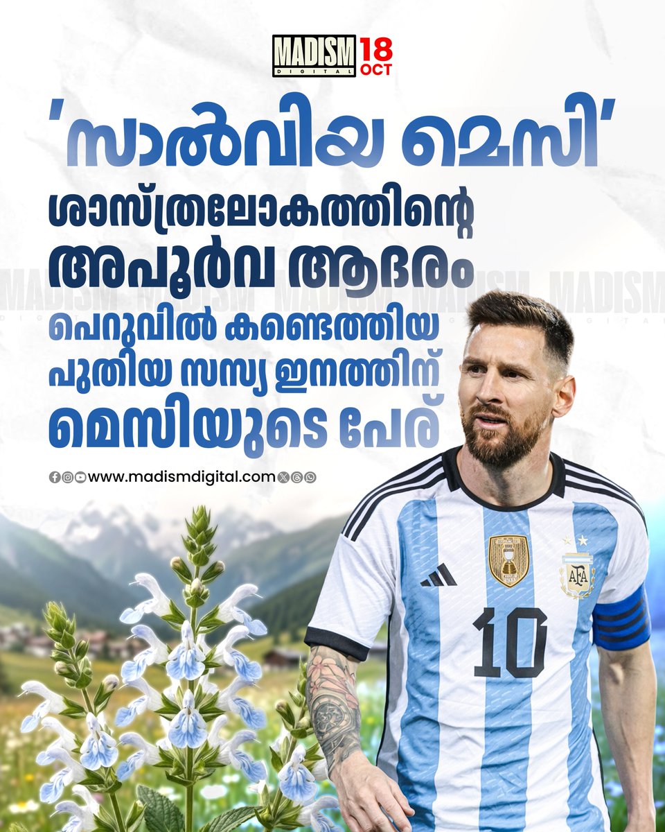 madism_digital's tweet photo. ഫുട്‌ബോള്‍ ഇതിഹാസം ലയണല്‍ മെസ്സിയുടെ പേരില്‍ പുതിയൊരു സസ്യയിനം. മധ്യ, തെക്കന്‍ പെറുവിലെ ആന്‍ഡീസ് പര്‍വ്വതനിരകളില്‍ മാത്രം കണ്ടുവരുന്ന ഒരു പുതിയ സസ്യത്തിനാണ് മെസ്സിയുടെ പേര് നല്കിയിരിക്കുന്നത്.

#LionelMessi #Messi #MessiNamedPlant #NewPlantSpecies #BotanicalDiscovery https://t.co/wW9amtl4t7
