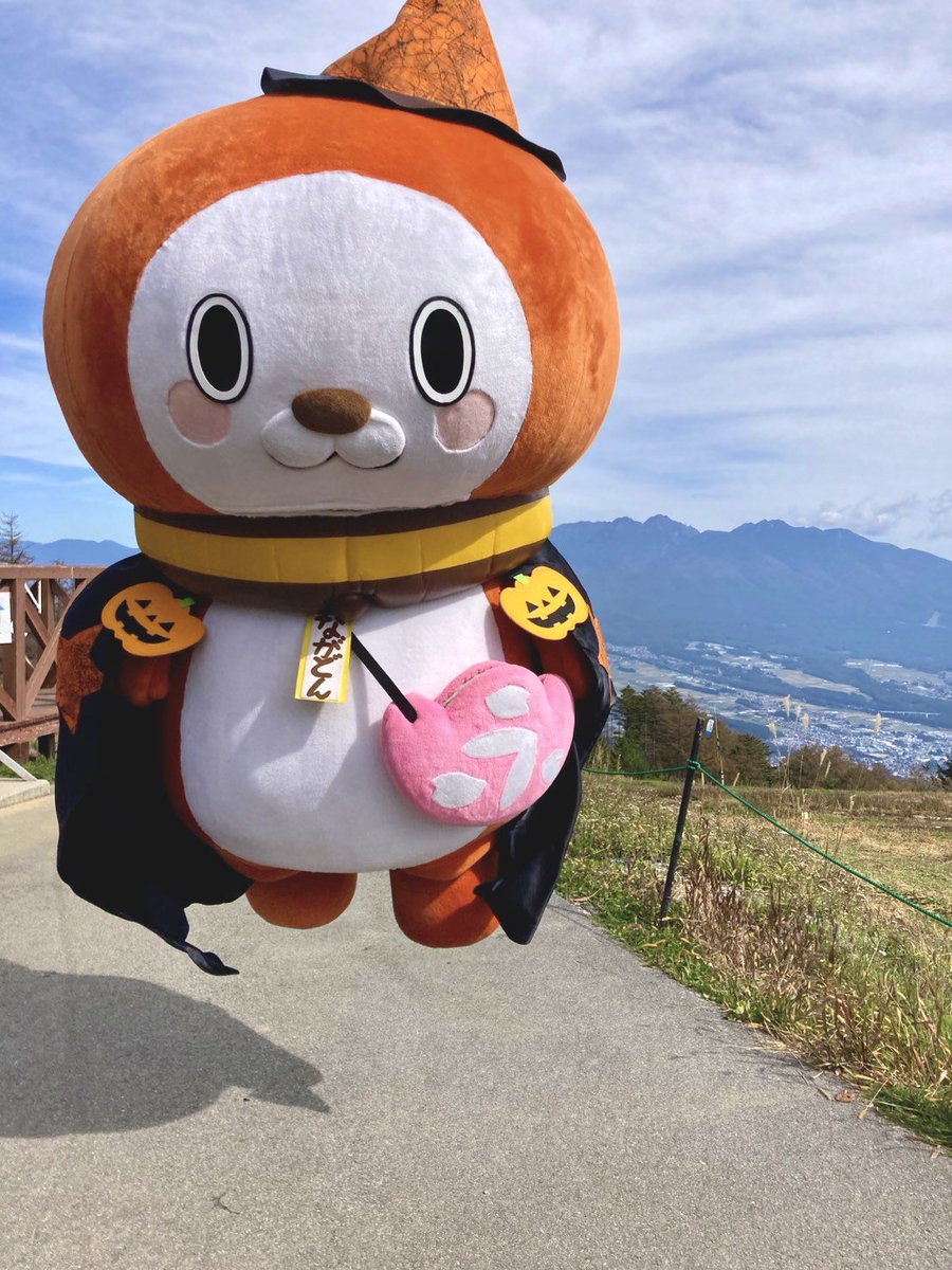 tama_nagadon's tweet photo. ゴンドラに乗らず、飛んできた永どんだどん！
#富士見パノラマリゾート https://t.co/rbibx8Jd2A
