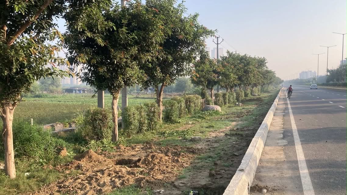 amitee07's tweet photo. @CeoNoida @noida_authority @dmgbnagar  🚨 Sector 79, Noida! Multiple trees are being cut for electric poles, destroying greenery. At Hilston’s main entrance crossing, residents’ lives are at risk due to inadequate safety measures. Authorities must act NOW!  @UPPCLLKO @MdPvvnl https://t.co/66dZAwWdts