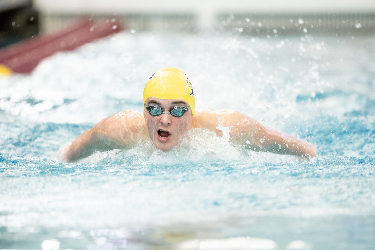 CarletonKnights's tweet photo. Matthew Krogman had a trio of top-10 results as Carleton College Men's Swimming &amp; Diving took part in the MIAC vs. WIAC meet.
Recap: https://t.co/gB73R7f9bG
#HailTheMaizeAndBlue #d3swim #d3dive https://t.co/woqon5MnQN