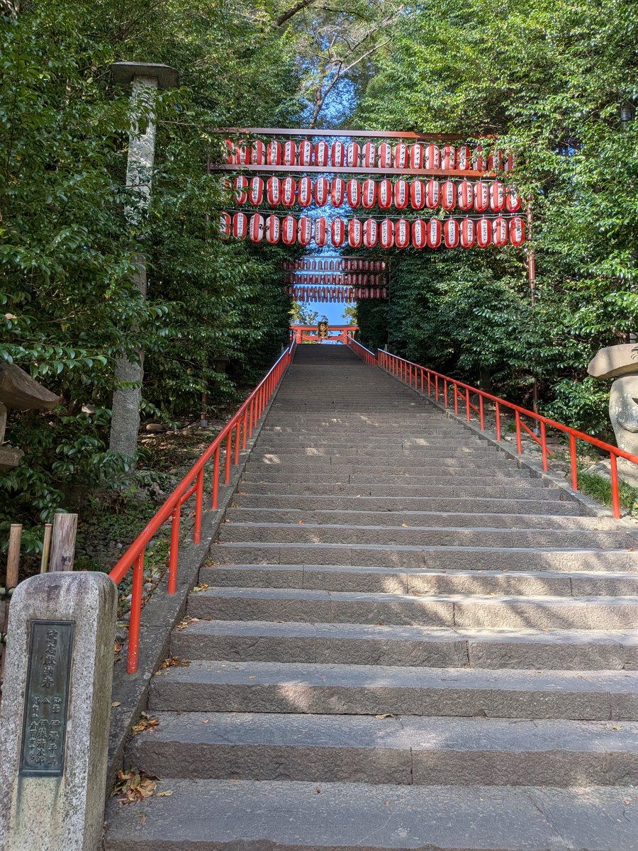 k17_akg's tweet photo. 大崎八幡宮行ってきた！
ニワトリいた🐓 https://t.co/w9VCn9vPWY