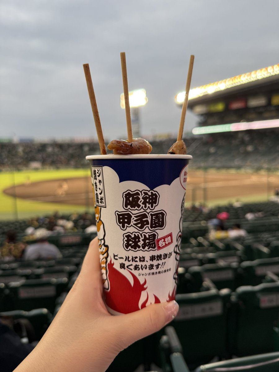 ydb63's tweet photo. 2日間の甲子園で食べたものたち
・ジャンボ焼鳥
・炙りサーモン箱寿司
・大山の待望！メロンソーダフロート
・前川のヨクバリ！牛ハラミカツ丼 https://t.co/1jBaXmwEDy