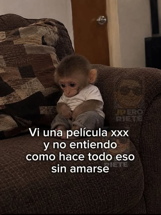 biosferano's tweet photo. https://t.co/yHga2APPdM