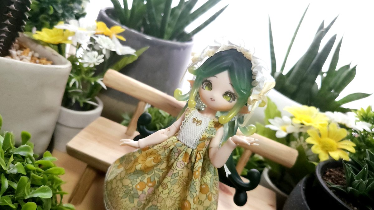 dekitateomelet's tweet photo. ドール広場兼植物置き場、月に1回の水やり。室内でもスクスク育って彩りと癒やしを与えてくれる強い植物たちには感謝しかないですね…逞しい！ https://t.co/QozwrHelI6