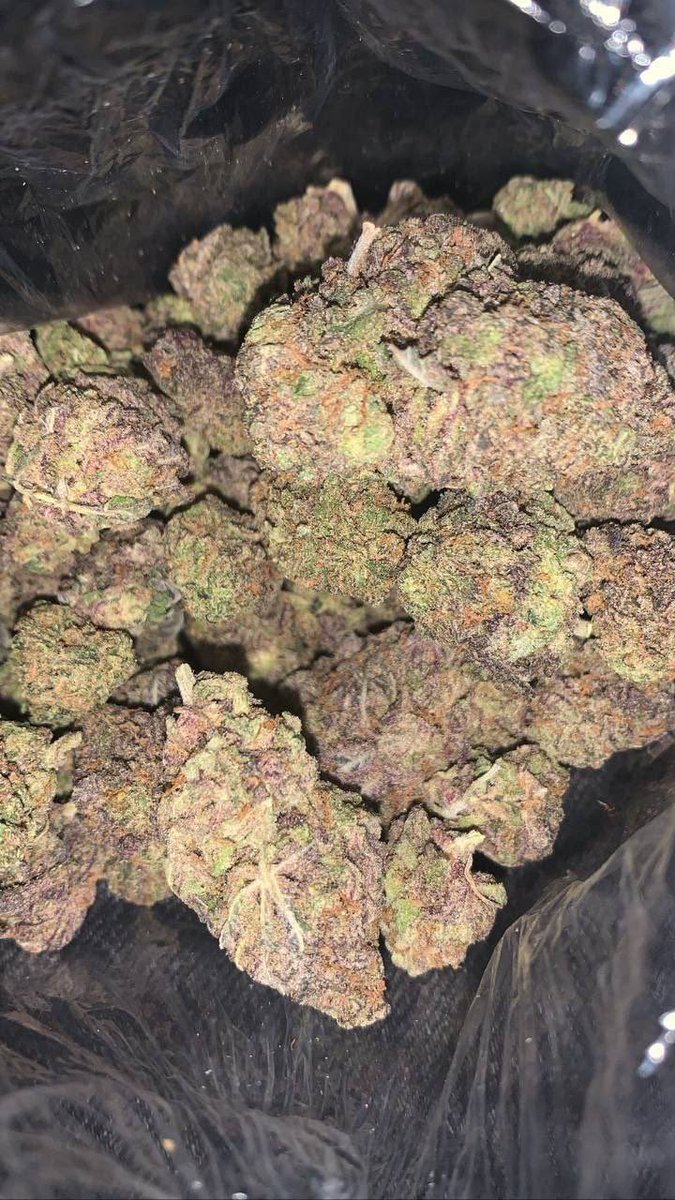 weedplugg247's tweet photo. Blue candy
$600 a pound
popz
#houstonplug #weed #houstonmeets #houston
#deliver #houstonbestplug #zaza #springplug
#cypressplug #katyplug #northsideplug #htxlinkup
#htxsnow #drgtwt
#htxdrugs https://t.co/Yva79oGIEi