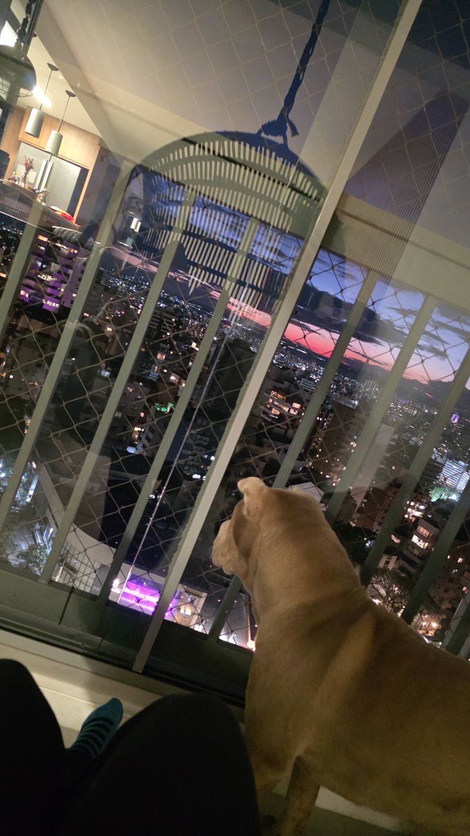 tchucktchuc's tweet photo. apenas uma menina e sua cachorrinha assistindo o por do sol https://t.co/xFbLEiLYfD