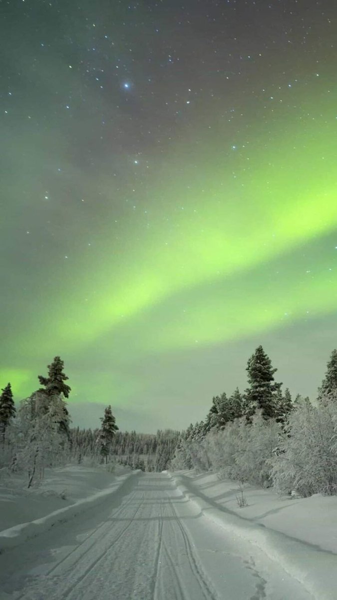 AmazingEye04's tweet photo. 📍 Lapland, Finland 🇫🇮 https://t.co/n4st2GlkNN