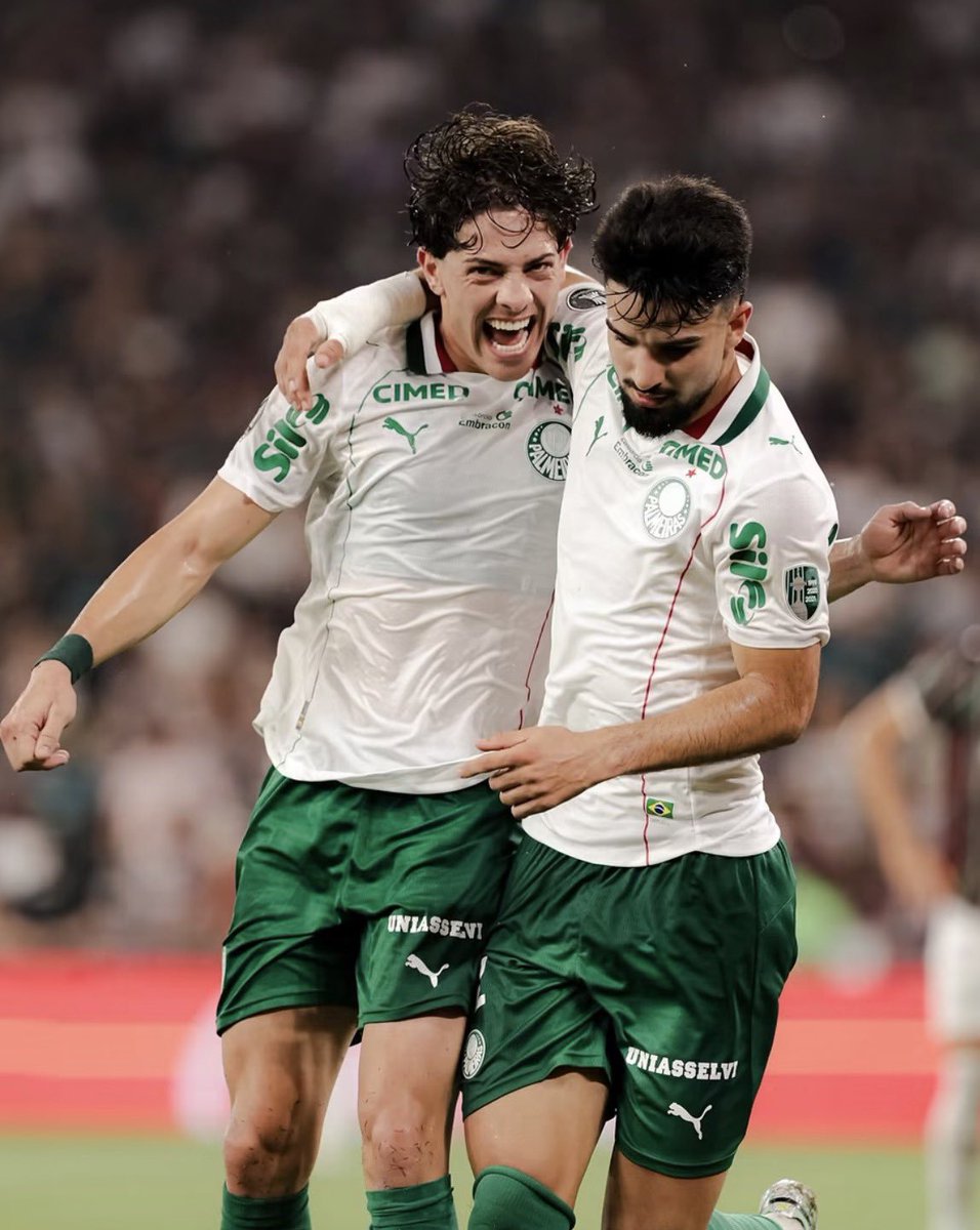 ddlcarpenter's tweet photo. lindo o palmeiras não tendo essa mancha na história, jogando com a camisa limpinha https://t.co/S6yU2cYNfO