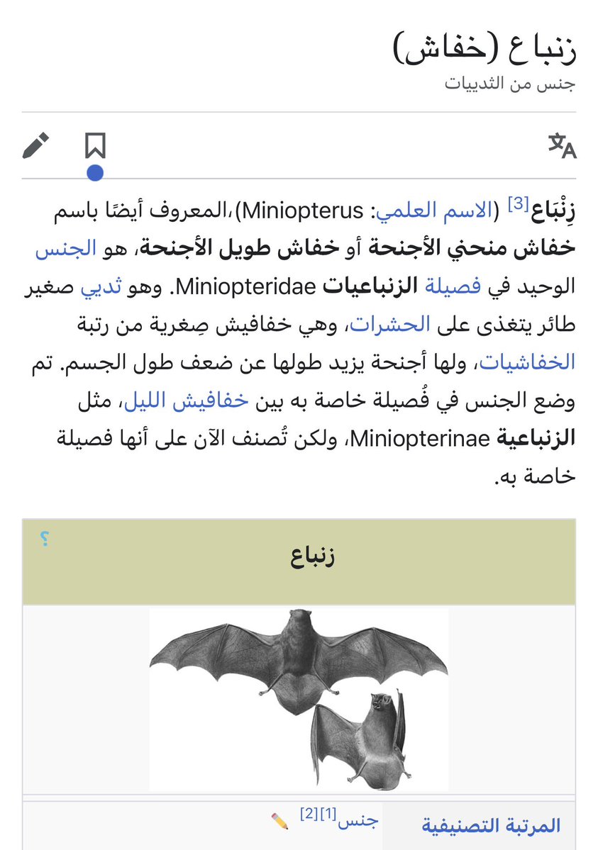 albashig1986's tweet photo. @wed_94x هذا هو الزنباع https://t.co/SehhcQ0kTB