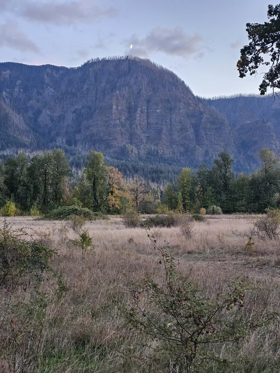 littletechbird's tweet photo. Great time this afternoon hanging out with my friend @Yazen_101. Walked around Beacon Rock State Park https://t.co/j5sCDy25lE