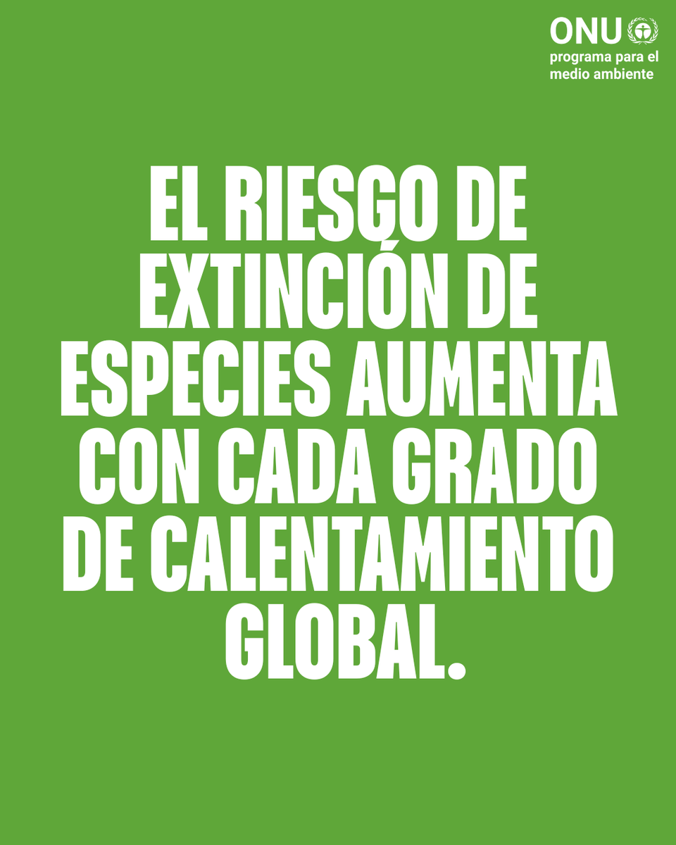 unep_espanol's tweet photo. Cuando la naturaleza sufre, sufre la humanidad.

Un millón de especies están en riesgo de extinción, y la degradación de los ecosistemas afecta al 40 % de la población mundial.

¿Cómo usar el poder de la naturaleza para construir un futuro más sostenible? https://t.co/H5MEVoWw4y https://t.co/vWyI2Y4ha8