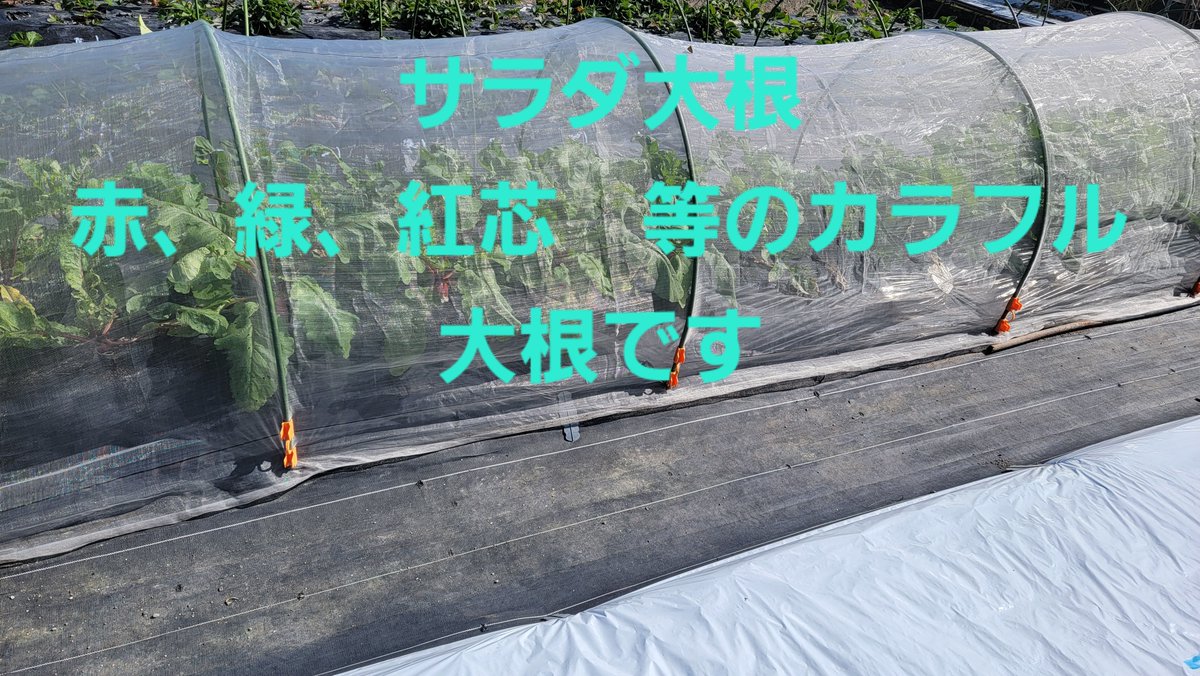 js3ath1160's tweet photo. https://t.co/ksLtGM4T3E