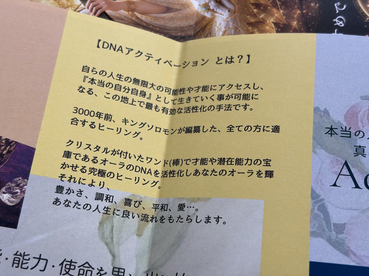 NIGHT__IS__OVER's tweet photo. DNAアクティベーション！？
そんなライセンスキーが！！！？？？ https://t.co/ZcZ3EQHcR2