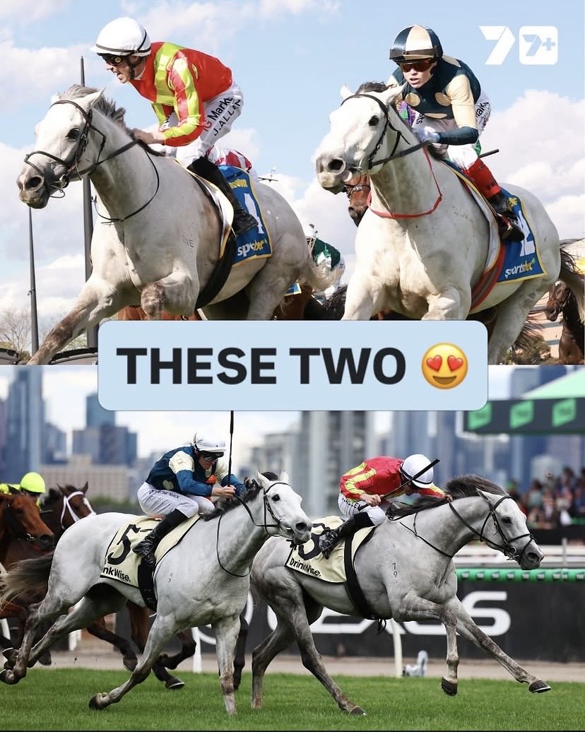 7horseracing's tweet photo. There’s no better sight in racing 🥹

Kingswood and Saint George ran 1-2 in the race before last years Melbourne Cup, and did it again in the Caulfield Cup! Long live the greys ❤️

@GavinBedggood @cmaherracing https://t.co/mKlX6dH6c5
