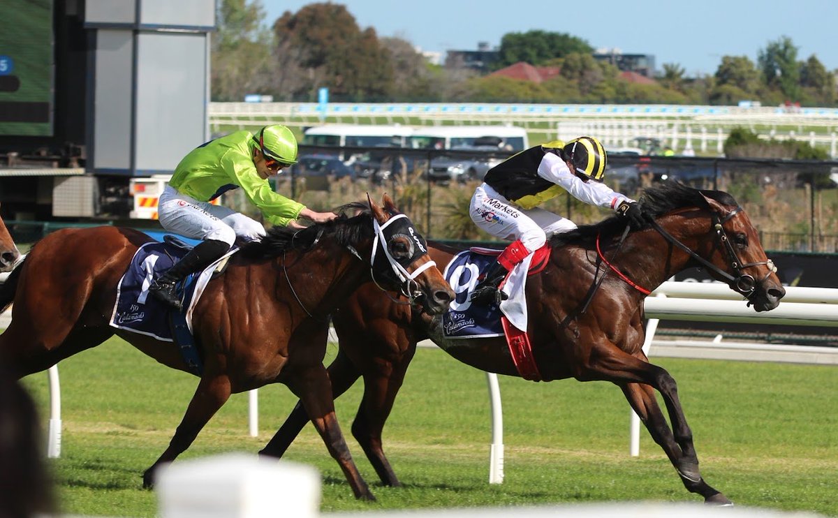 RacingBreeding's tweet photo. Barracks slips by Stretan Ruler  to win the Blue Sapphire. https://t.co/b3Qj1e5TbV
