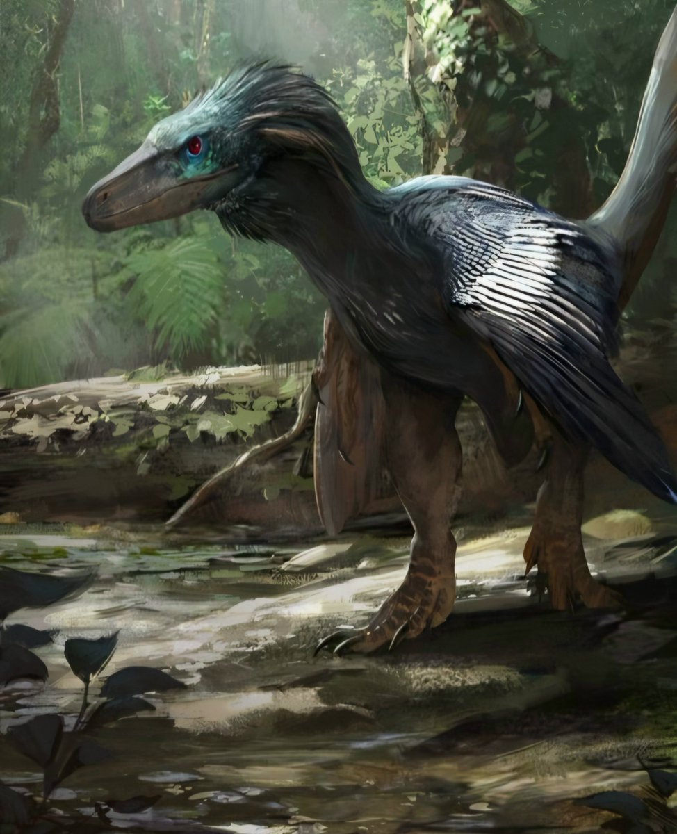 fullestbreak549's tweet photo. Meu top 3 Dinossauros REAIS favoritos 🦖:

1º Tiranossauro Rex - Tyrannosaurus rex
2º Utahraptor - Utahraptor ostrommaysorum
3º Anquilossauro - Ankylosaurus magniventris https://t.co/NiLXkffwKZ