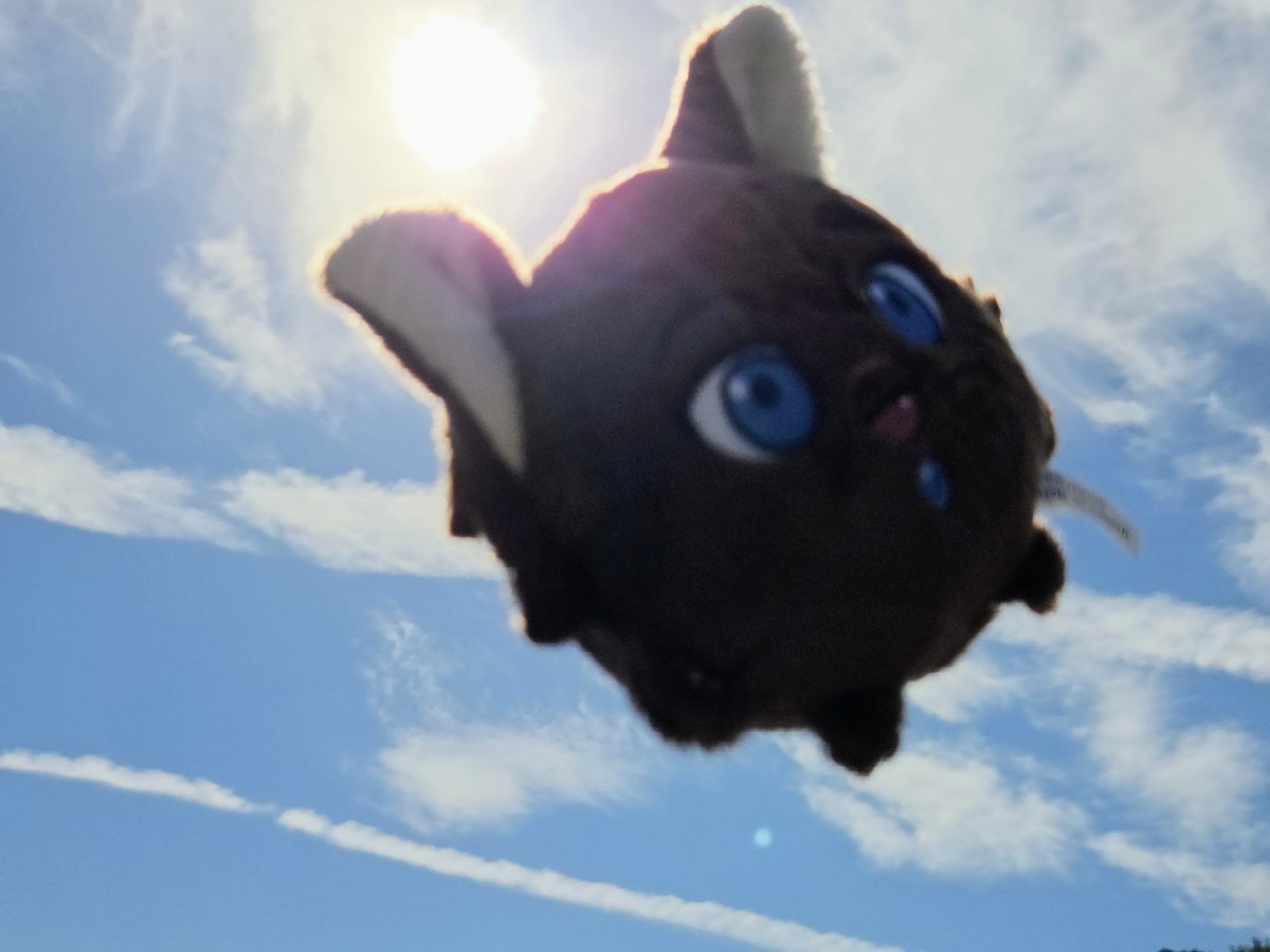 niganigai's tweet photo. お天気よかったからガルたま空に飛ばしてきた https://t.co/evdLrzwUZ7