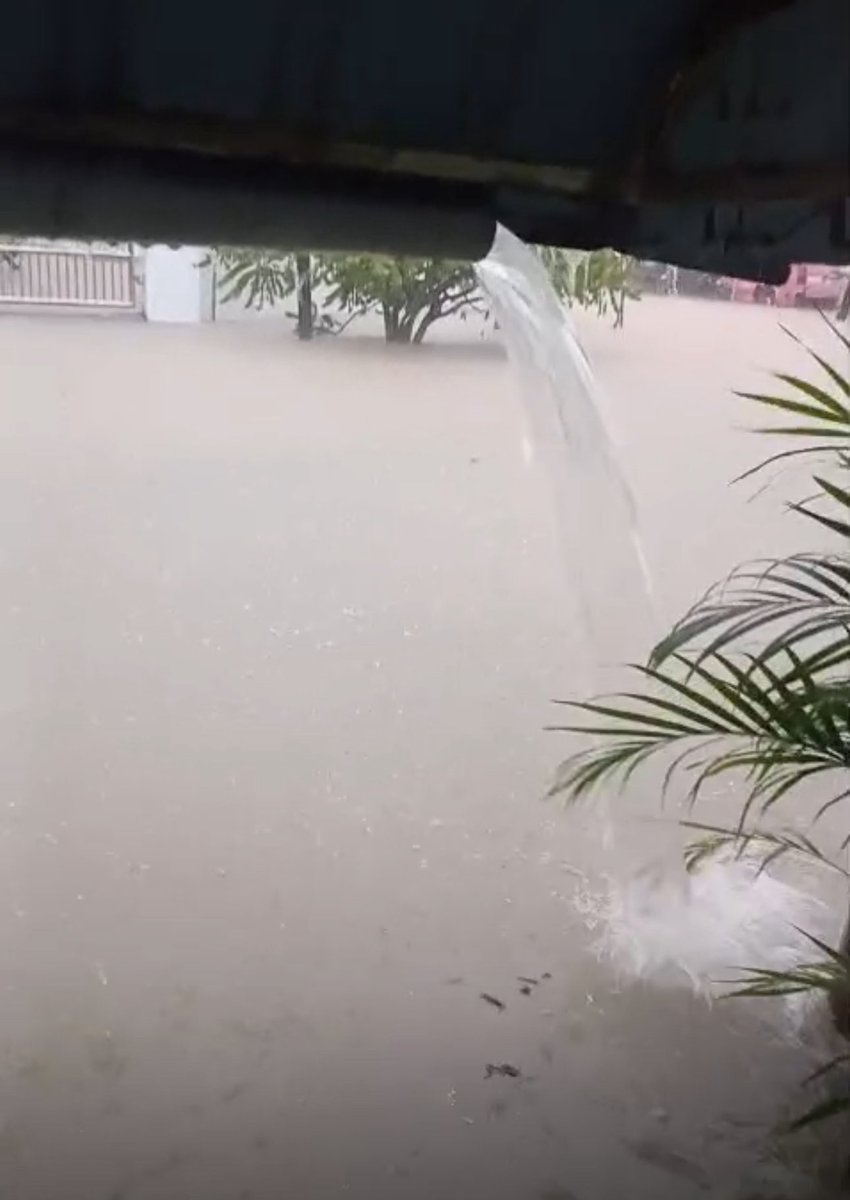 ZambryOfficial's tweet photo. Allahuakbar. Hujan lebat sejak awal pagi. Menerima berita beberapa kawasan di Pangkor dinaiki air, termasuk kawasan kampung saya sendiri.

InsyaAllah, saya akan turun meninjau keadaan, bertemu penduduk yang terjejas dan menghulurkan bantuan bagi meringankan beban mereka.

Kita juga telah memaklumkan perkara ini kepada pihak berkuasa yang bersiap sedia untuk membantu penduduk terjejas.

Kepada warga Pangkor yang terkesan, utamakan keselamatan diri dan keluarga serta patuhi arahan pihak berkuasa.

Didoakan semoga Allah SWT melindungi kita semua, meredakan keadaan dan mempermudah segala urusan.

#Pangkor