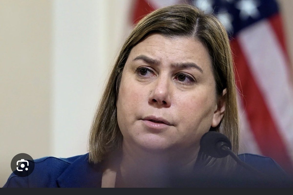 riridionnite's tweet photo. @ElissaSlotkin Slow down on your Ozempic, you filth! It's obviously ruining your fucking brain!

You're a fascist pig! https://t.co/MoETHKtL7Q