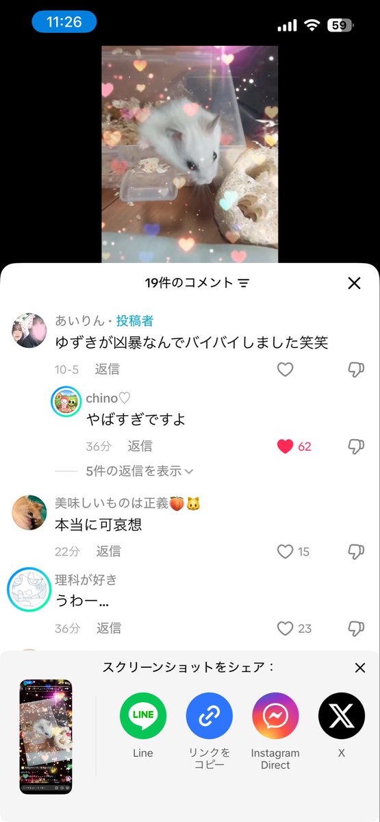 ranran0775's tweet photo. こいつらやばいまじで
ハムスター可哀想すぎる😭😭 https://t.co/2ZgYaIuEz8