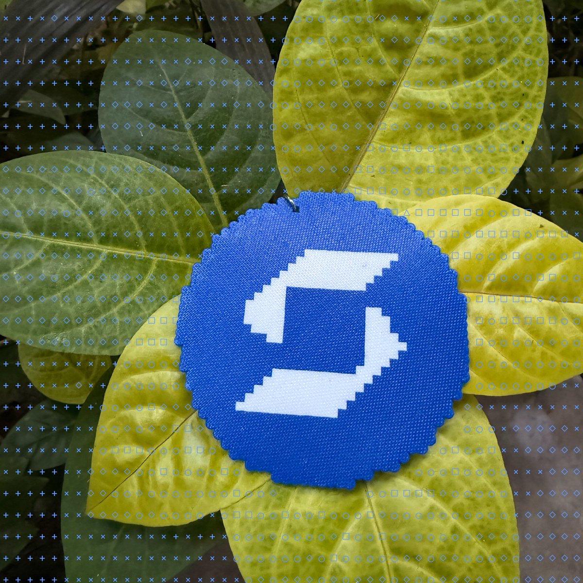 SafePal's tweet photo. Thriving 🌱 https://t.co/RJKpHvJ3nm