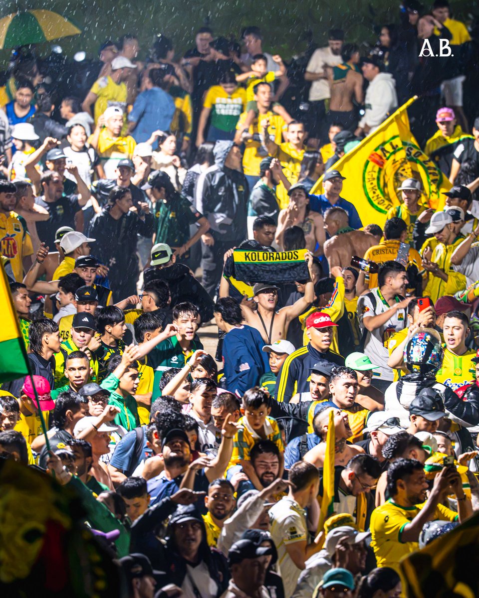 ABucaramanga's tweet photo. ¡𝐁𝐚𝐧𝐝𝐞𝐫𝐚𝐳𝐨 𝐋𝐞𝐨𝐩𝐚𝐫𝐝𝐨!Somos la raza que lucha y sueña. ¡Mañana alentamos todos en el Montanini!🏟️🔥

#VolvamosA𝐑𝐔𝐆𝐈𝐑 #MiHerenciaMiPasión🫀 https://t.co/BgyajwDrS4