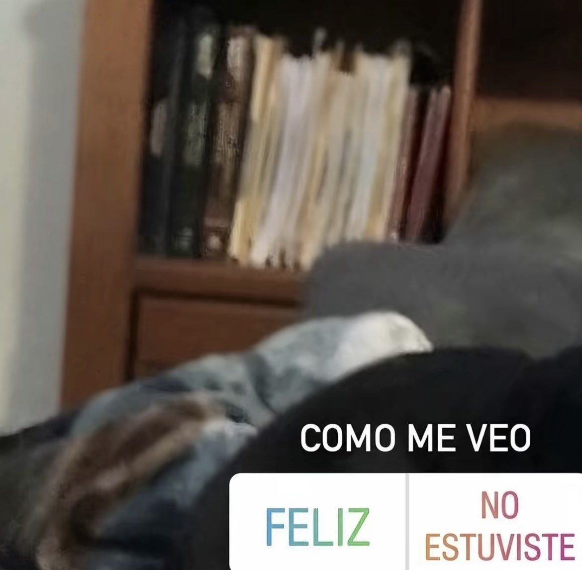 pxeita's tweet photo. https://t.co/5ti597jjEq