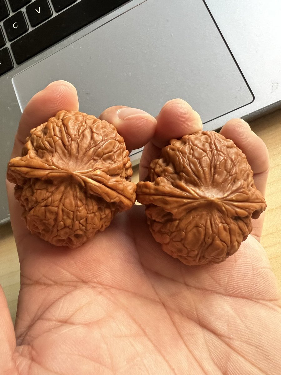 LiElwin's tweet photo. Another pair of datuanyuan walnuts. Low-profile and feel even better than my other pair. Too bad about the yellow spots on the tips, or they’d be perfect! こちらも大団円の核桃です。矮桩で、もう一組より手触りがいいです。先端に黄色いシミがなければ最高のペアなのに、惜しいです😅 https://t.co/8dfEtrivJu