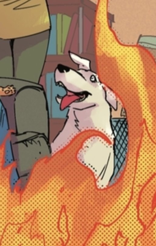 DuckooYui's tweet photo. KRYPTO YOU ARE THE CUTEST https://t.co/GMKUyTW2GF