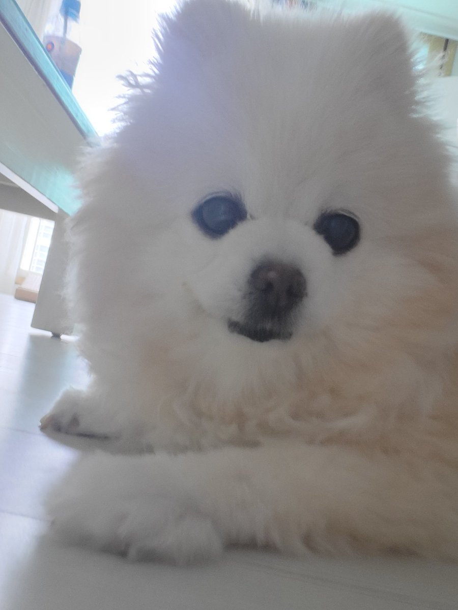 YJ_nToday's tweet photo. 13살
이상하게생겼네 https://t.co/N2hWRDlp13
