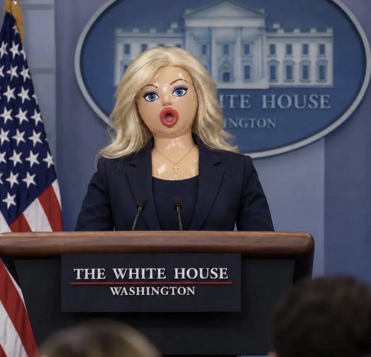 YourAnonNews's tweet photo. New Press Secretary just hired at the White House. https://t.co/sk76O93ZwC
