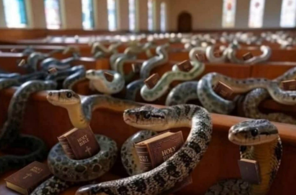 Isaacwrld10's tweet photo. A rare picture of women in church. https://t.co/65d2zTzLQg