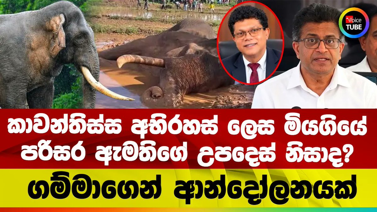 VoiceTubelk's tweet photo. කාවන්තිස්ස අභිරහස් ලෙස මියගියේ පරිසර ඇමතිගේ උපදෙස් නිසාද? | ගම්මාගෙන් ආන්දෝලනයක්
https://t.co/pJIco32Qjz #kavanthissa #udayagammanpila #Udaya_Gammanpila #LKA #VoiceTube #SriLanka #Politics https://t.co/GmejsFRuTe