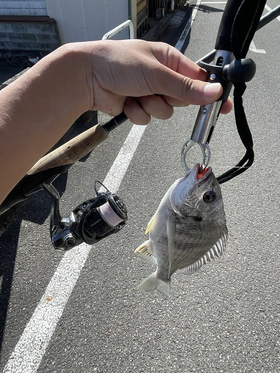 basashi_fishing's tweet photo. ミドストチニング https://t.co/uUj8oWkMA6