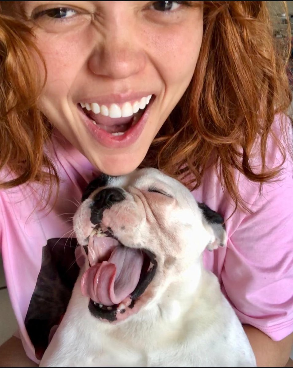 SuzyPecas's tweet photo. Obrigada por 13 anos de amor, Dorinha. Te amo tanto, tanto, tanto, tanto e vou te amar pra sempre. Meu coração tá pequeno porque você levou uma parte dele contigo. Você foi incrível até o fim. https://t.co/tN4Rg8GT1y