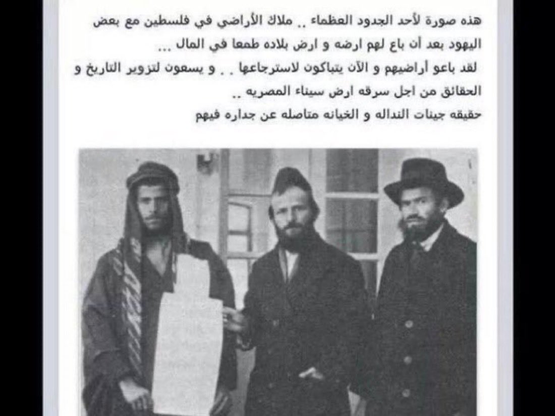 Wardkd15's tweet photo. @amenmhfjg @Algazawy_Alhaj @talia___100sun https://t.co/jX8QrG19tD